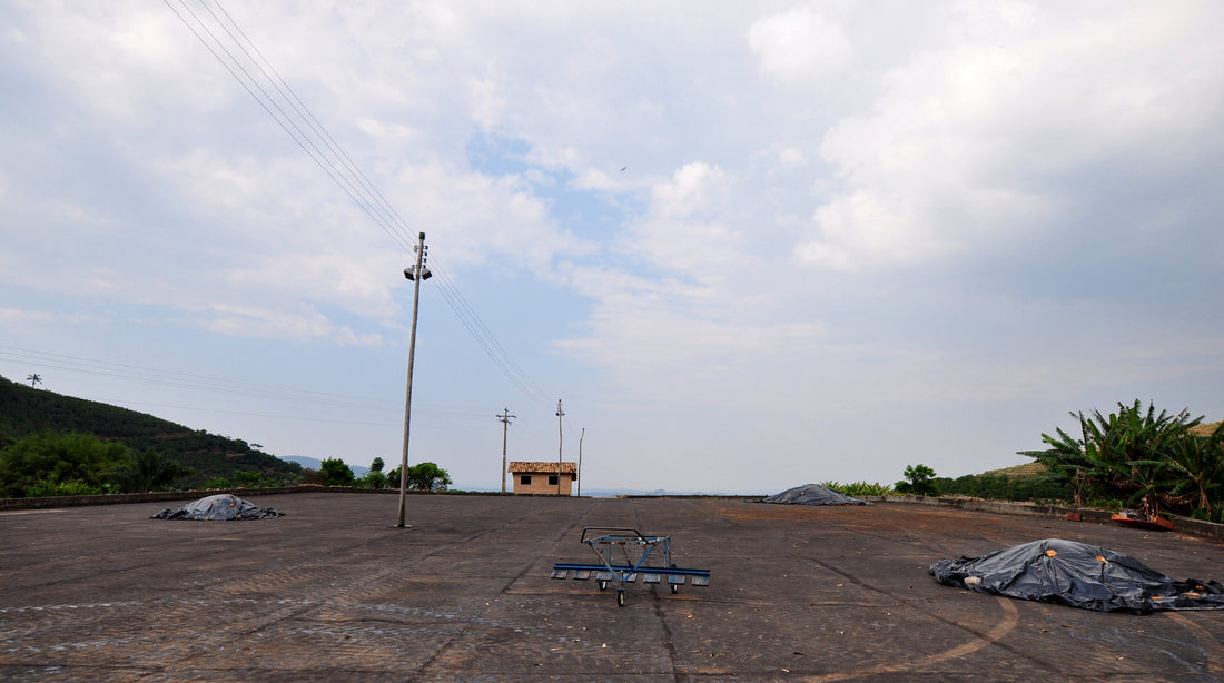 Ever-Elusive Quality.