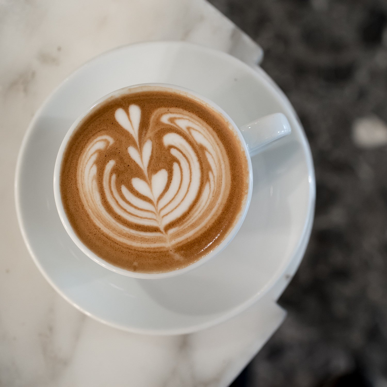 SENSORY LAB MILK NIGHT.