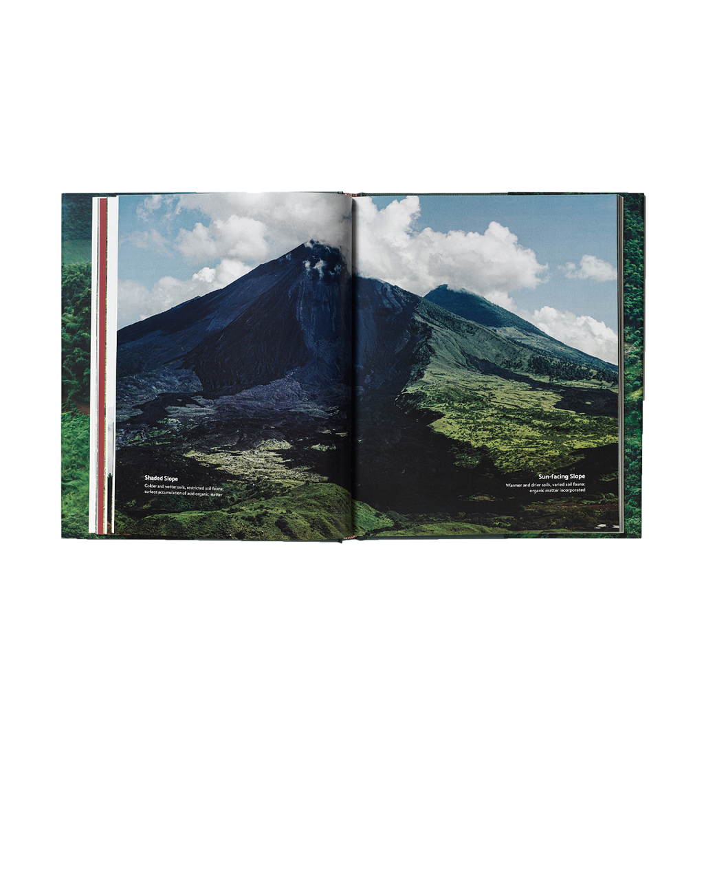 Terroir | Coffee From Seed To Harvest Book