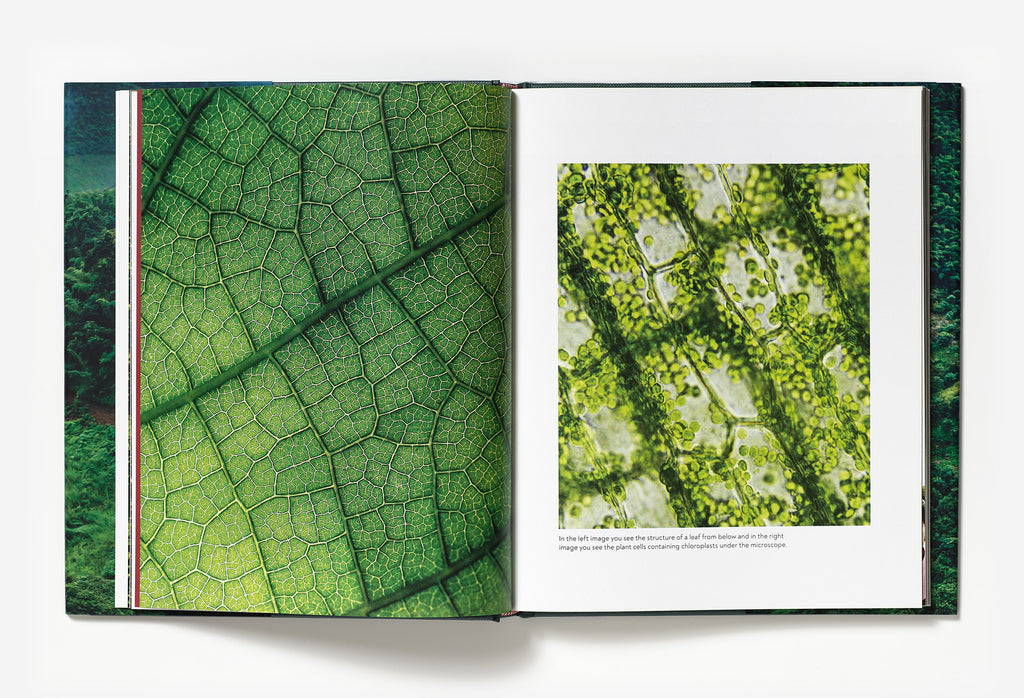 Terroir | Coffee From Seed To Harvest Book